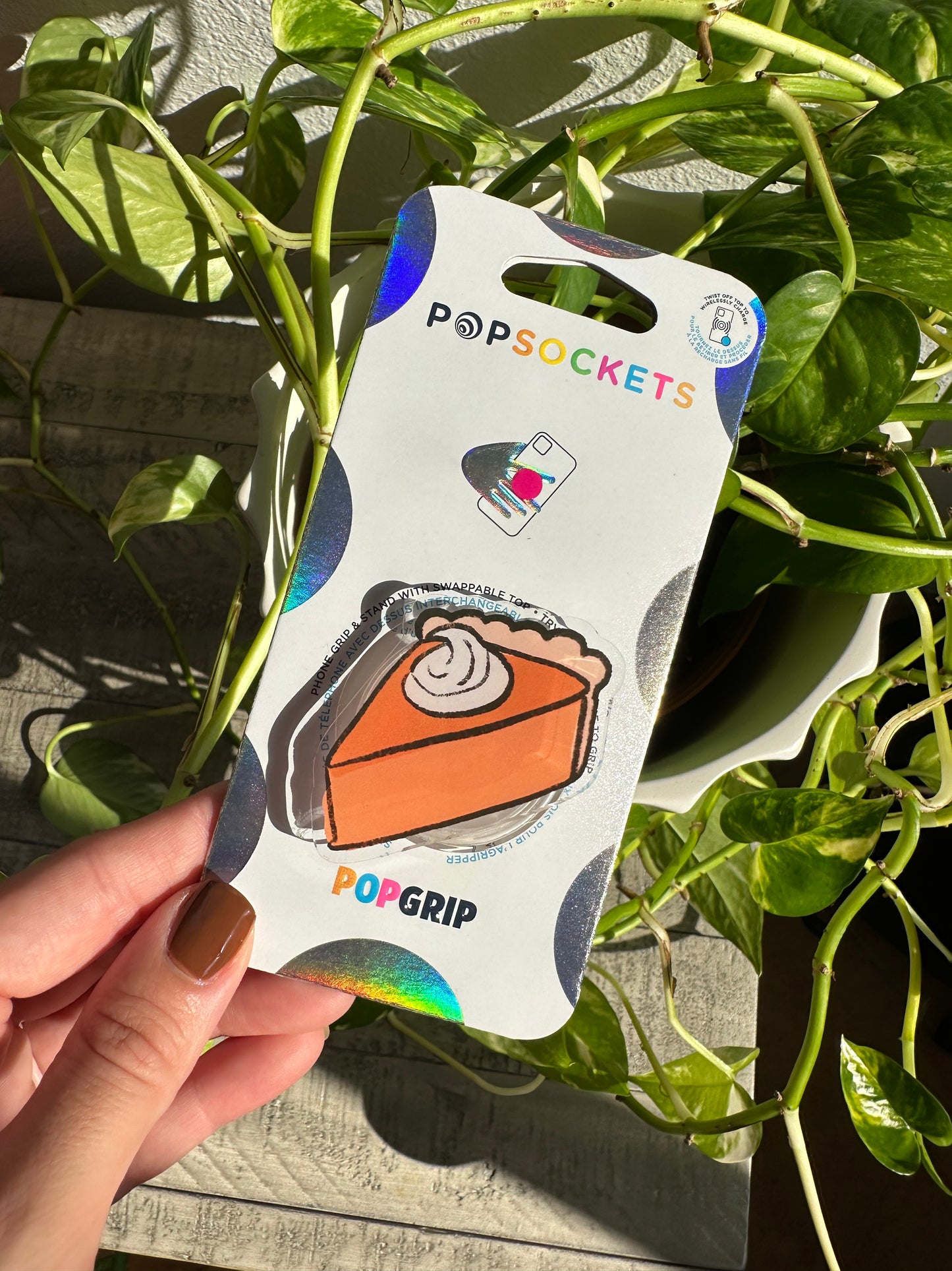 Pumpkin Pie Phone or E-Reader Pop Socket